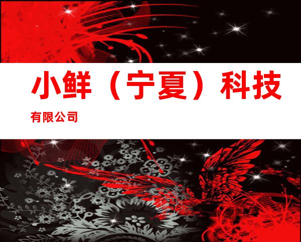 小鲜（宁夏）科技有限公司